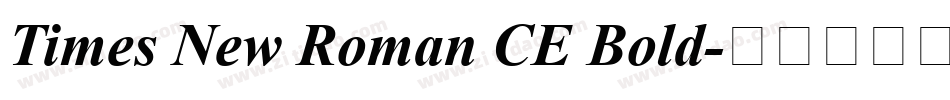 Times New Roman CE Bold字体转换